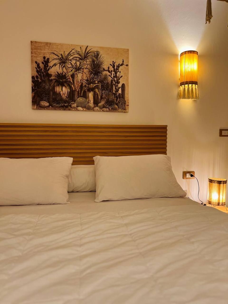 Paradise Studios Sheikh Zayed City 외부 사진